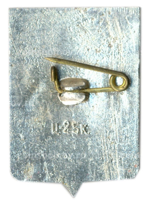 Значок Старая Русса