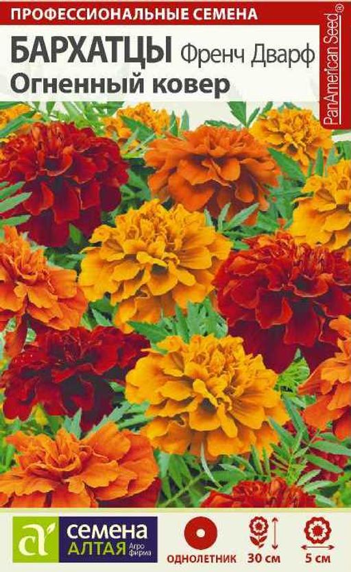 Бархатцы Френч Дварф Огненный ковер/Сем Алт/цп 8 шт.