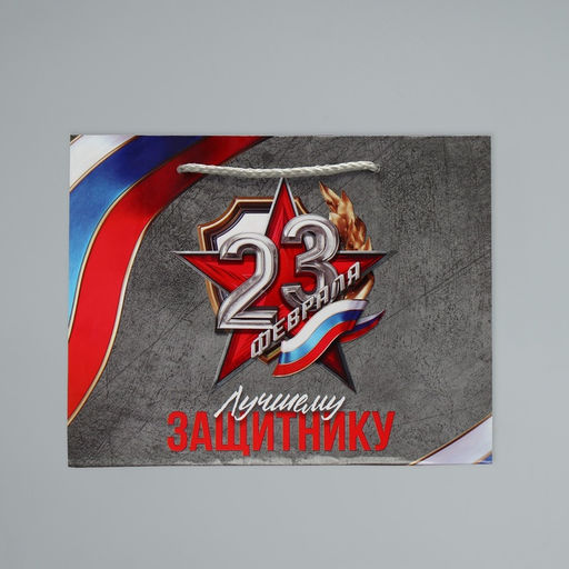 Цена за 2 шт. Пакет подарочный ламинированный, упаковка, «С 23 февраля», MS 23×18×8 см