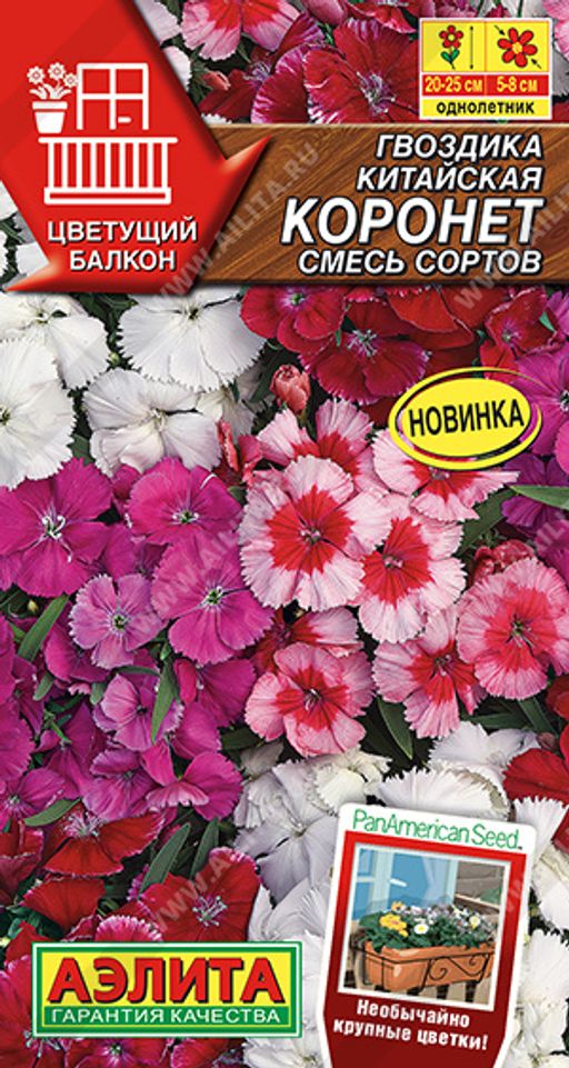 Гвоздика китайская Коронет, смесь сортов