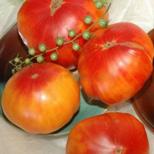 7102T Томат Армянские 10шт