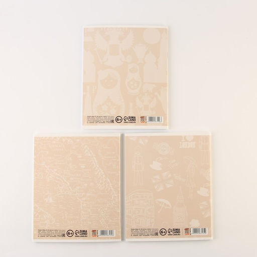 Тетради предметные, 48 л., А5, набор из 3 шт., «КОТ»