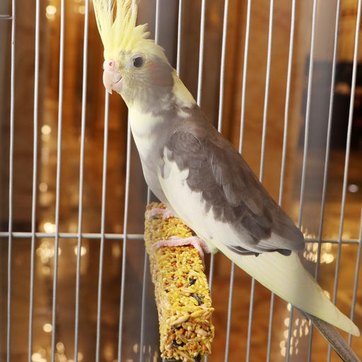 Зерновые палочки Пижон для птиц, с минералами, 2 шт, 96 г  фото 3