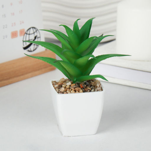 Цветочная композиция Кактус / WER-19 /уп 12/192/ микс - Галеонтрейд фото 2