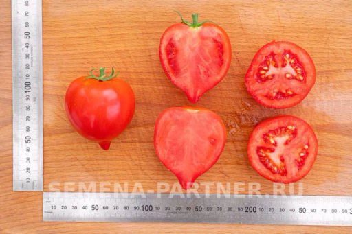 Томат Пикадор - Партнёр фото 7