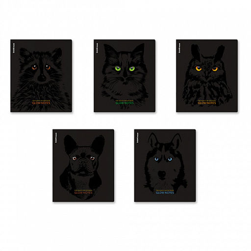 Цена за 5 шт. Тетрадь общая ученическая ErichKrause Gaze, 48 листов, клетка, ламинация soft-touch+выборочный УФ-лак_MIX-PACK фото 2