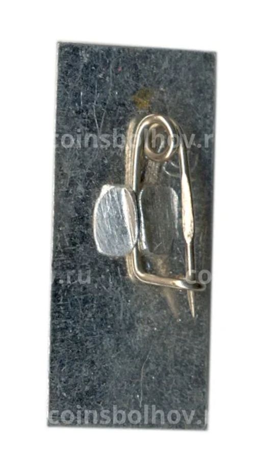 Значок Кусково