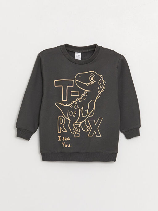 Bisiklet Yaka Uzun Kollu Bask?l? Erkek Bebek Sweatshirt 2li - Waikiki фото 2