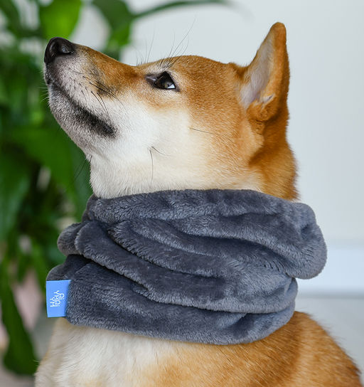 Снуд для животных, серый, размер L (длина 42см, ОШ 38-50см, ОГ 42-60см) лн26ос