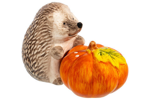 Набор д/специй 2 пр. 6*6*7,5 см, 6,5*6,5*4,5 см "Ёжики", керамика