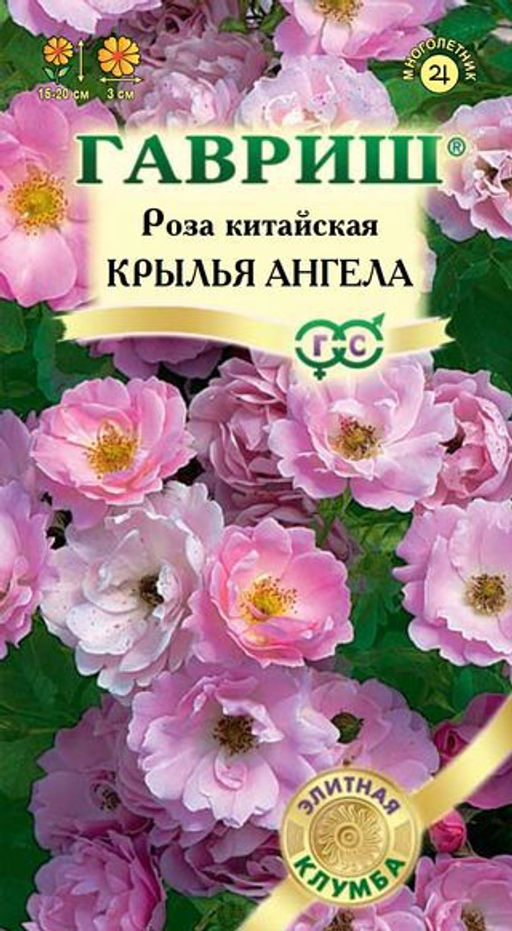 Роза Крылья ангела китайская 5шт (г)