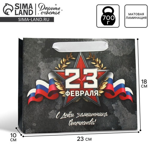 Цена за 2 шт. Пакет подарочный ламинированный, упаковка, «23 февраля», MS 23×18×10 см