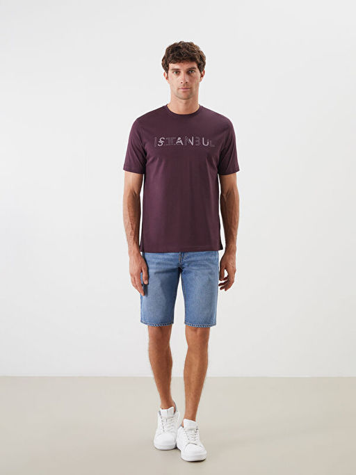 Bisiklet Yaka K?sa Kollu ?stanbul Bask?l? Penye Erkek Ti??rt