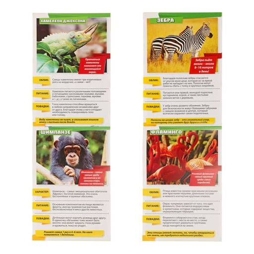 Мини-энциклопедии Мир животных, 8 шт. по 20 стр. - Буква-ленд фото 4