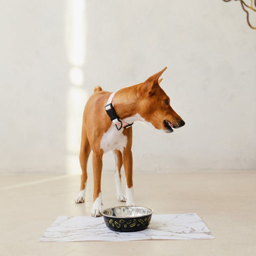 Миска металлическая для собаки Стейк, 450 мл, 14х4.5 см - Пушистое счастье фото 6