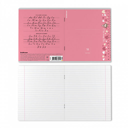 Цена за 10 шт. Тетрадь школьная ученическая ErichKrause Ruler Magic ассорти, 18 листов, линейка (в плёнке по 10 шт.)_MIX-PACK  фото 8