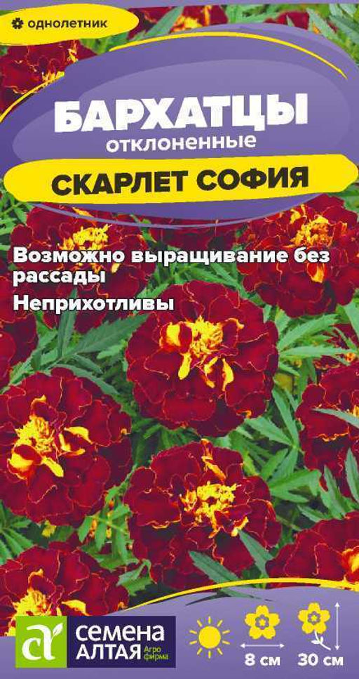 Бархатцы Скарлет София махровые/Сем Алт/цп 0,2 гр.