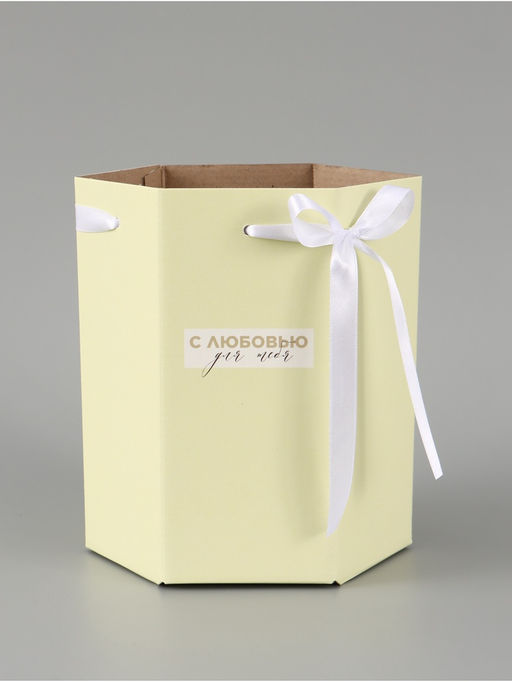 Цена за 2 шт. Коробка - переноска подарочная для цветов «С любовью», 17×14.8×19.5 см, шестигранник