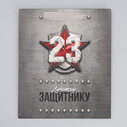 Цена за 2 шт. Пакет подарочный ламинированный, упаковка, «С 23 февраля», ML 23×27×11.5 см