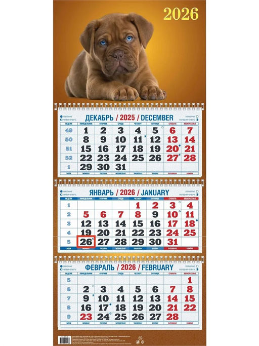 Календарь квартальный настен. 3-х блочный, 310*680мм, 2026г. "Забавный щенок" (КБ04-26)