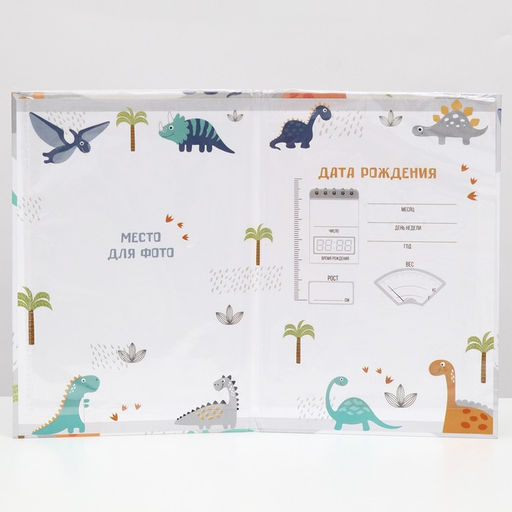 Папка для свидетельства о рождении, А5 «Динозаврики»