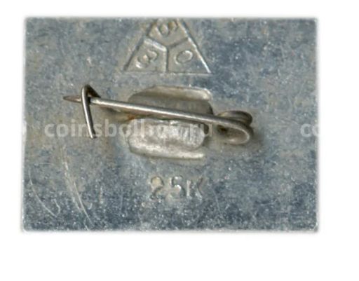 Значок Суздаль