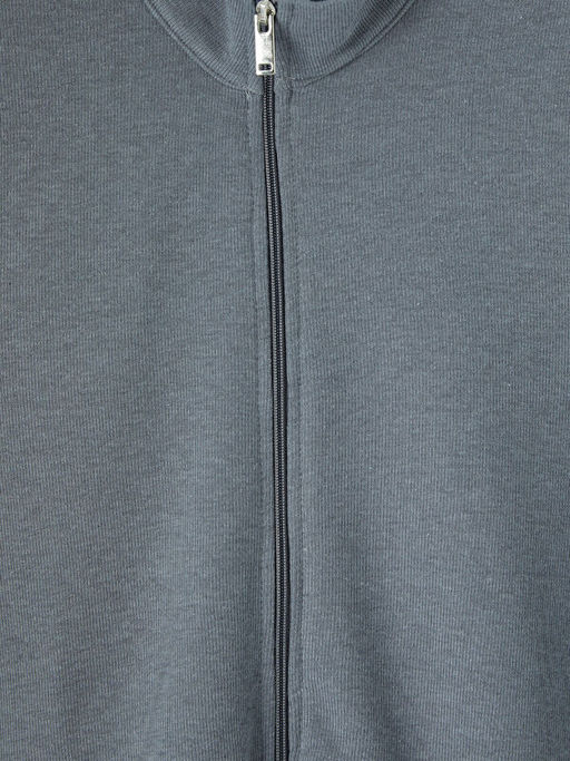 Dik Yaka Erkek Fermuarl? Sweatshirt