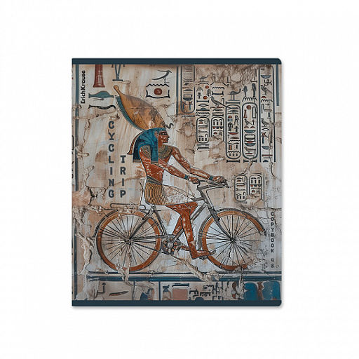 Цена за 5 шт. Тетрадь общая ученическая ErichKrause Newgypt, 48 листов, клетка, матовая ламинация+выборочный УФ-лак_MIX-PACK фото 7