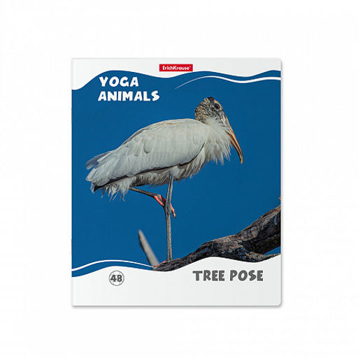 Цена за 5 шт. Тетрадь общая ученическая ErichKrause Yoga Style, 48 листов, клетка, матовая ламинация_MIX-PACK фото 7