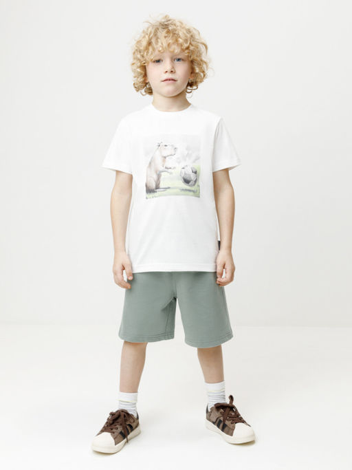 КР 400911/хаки 6206 к690, шорты