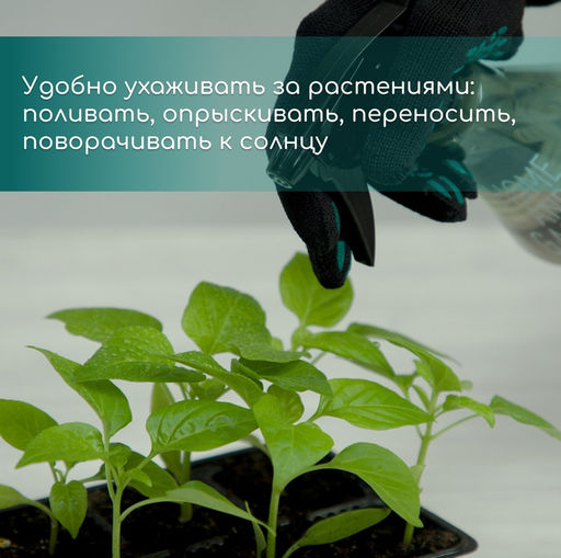 Цена за 3 шт. Кассета для выращивания рассады, на 200 ячеек, по 7 мл, из пластика, чёрная, 55 × 28 × 4 см, Greengo