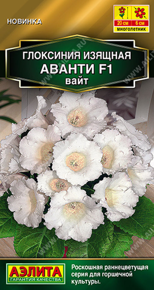 2006A Глоксиния Аванти F1 вайт 5шт