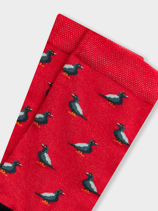 Цена за 5 пар! Носки мужские красные с узором в виде голубей - Mark formelle фото 4