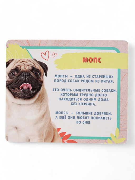 Игрушка - сюрприз Домашние питомцы. Собаки - Happy valley фото 16