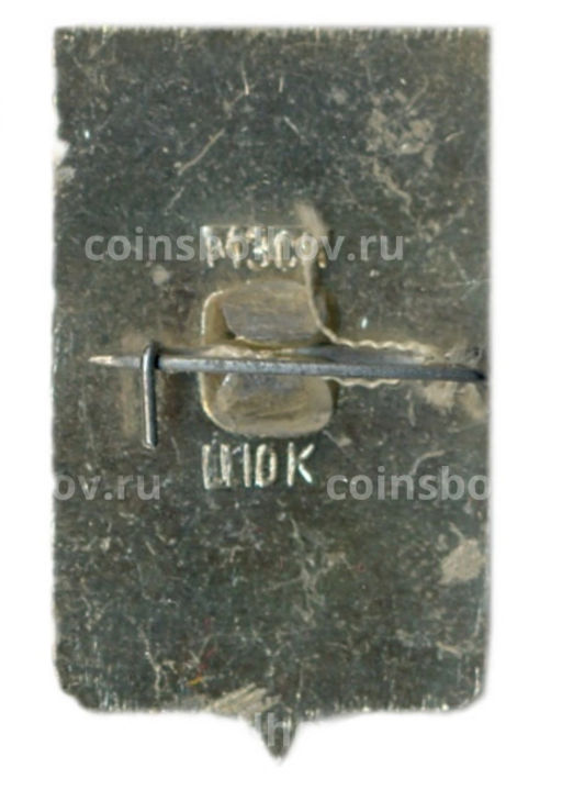 Значок Копейск