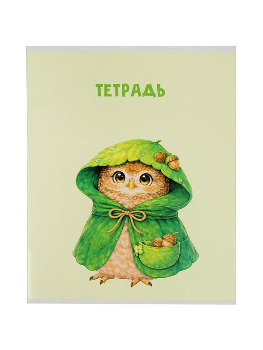 Набор тетрадей из 5 штук, 36 листов в клетку Calligrata «Совушки», блок офсет, 5 видов