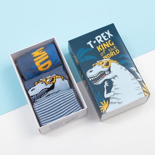 Носки детские KAFTAN T-REX 3 пары, размер 14-16