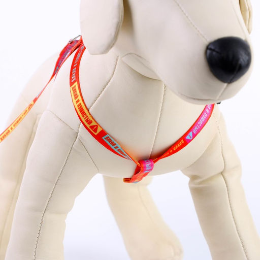 Комплект Дикий и пушистый, шлейка 24-36 см, поводок 120х1 см - Пушистое счастье фото 5