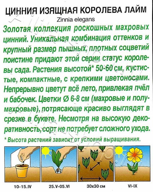 Цинния Королева лайм 5шт. (Аэлита)