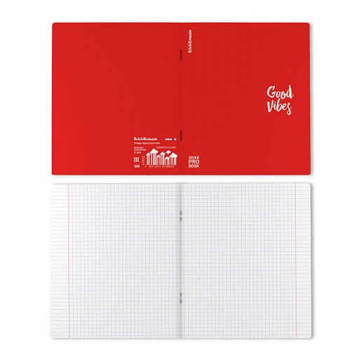 Цена за 5 шт. Тетрадь общая ученическая с пластиковой обложкой на скобе ErichKrause Words, красный, А5+, 48 листов, клетка_MIX-PACK  фото 19