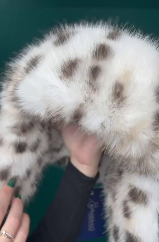 ВИДЕООБЗОР шапка Ушанка трикотаж экомех рысь - Davidovfox фото 6