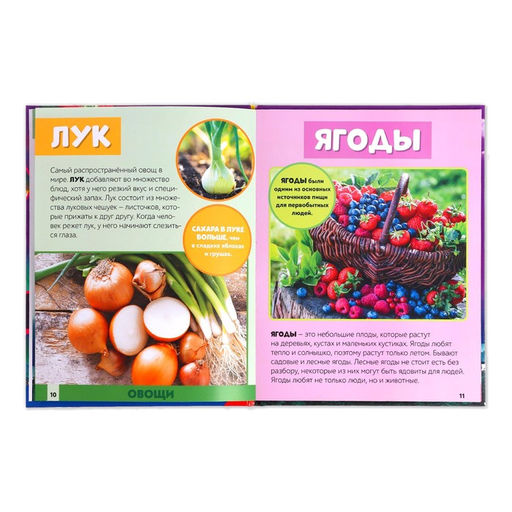 Фотоэнциклопедия для детей Мир вокруг нас, 48 стр. - Буква-ленд фото 5