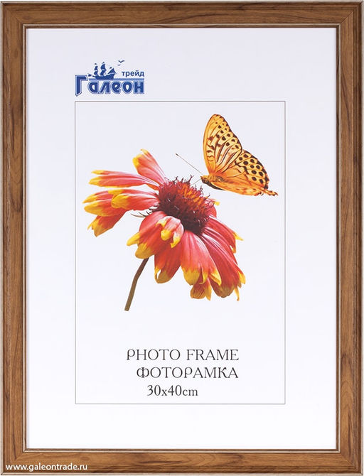 Фоторамка 30х40 / ZR8210H-222411 / - Галеонтрейд фото 2