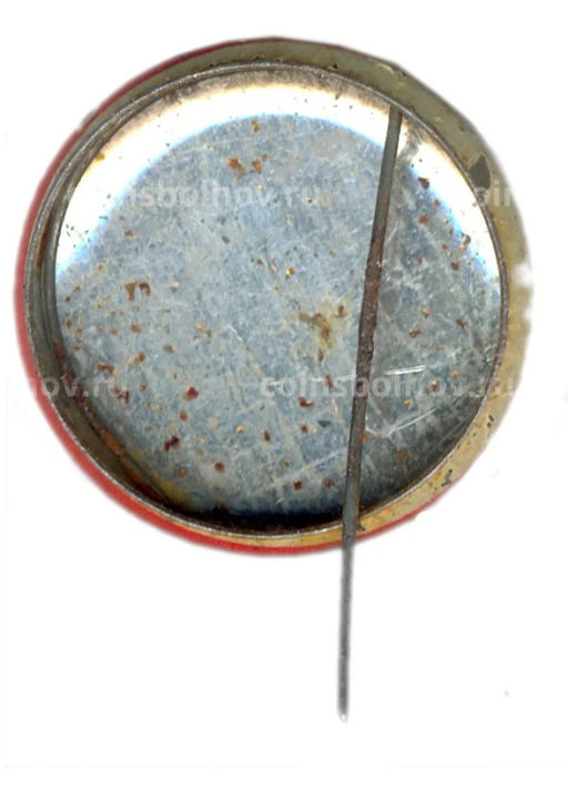 Значок Фестиваль эстонской песни и танца 100 лет