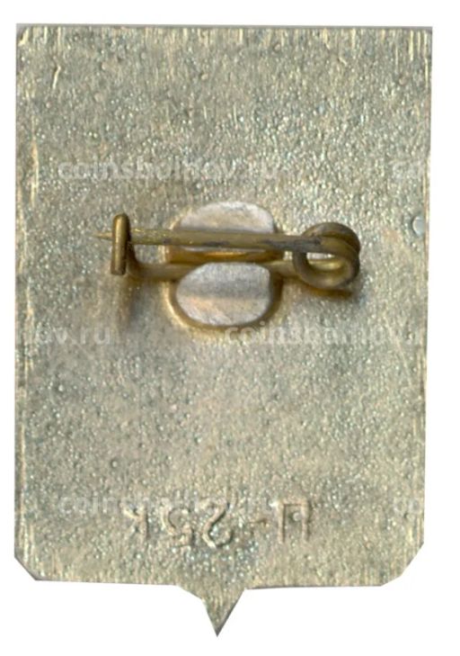 Значок Боровичи