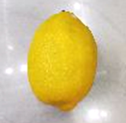 Муляж Лимон 10 см / 33-23 /уп 300/ - Галеонтрейд фото 2