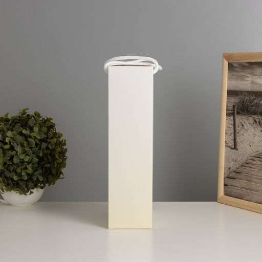 Фигурка светящаяся RISALUX «Букет. Медведь», LED-ночник, 3×AG10, 8×17×29 см