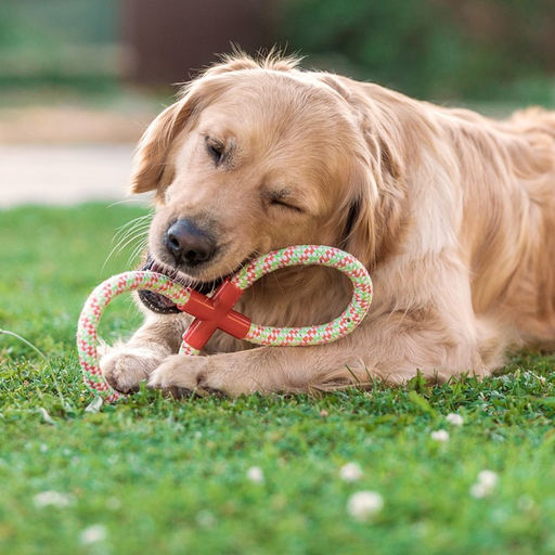 Игрушка тренировочная канатная Восьмерка, до 135 г, 30 см, микс цветов - Пижон фото 5