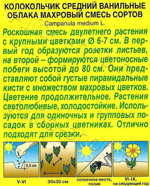 Колокольчик Ванильные облака махровый, смесь 0,2г (Аэлита)