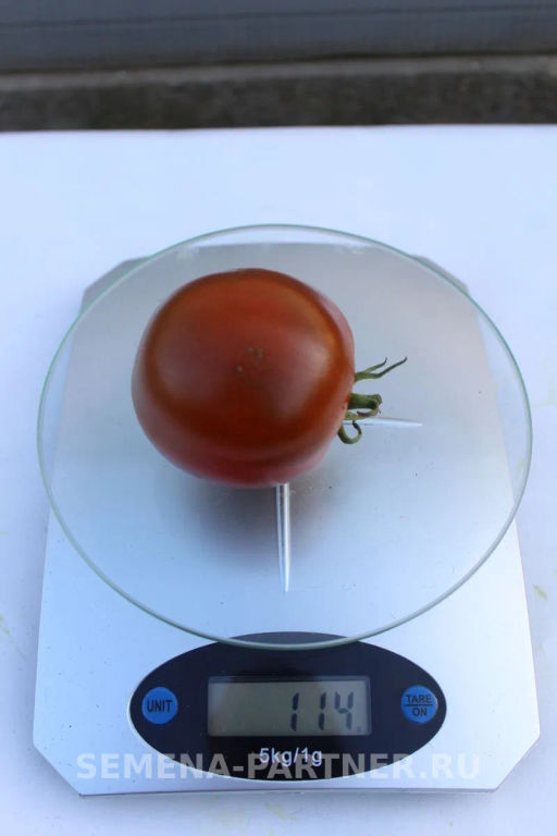 Томат Вендетта - Партнер фото 6